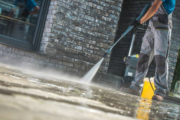 Best Driveway Pressure Washing  in Mount Morris, MI