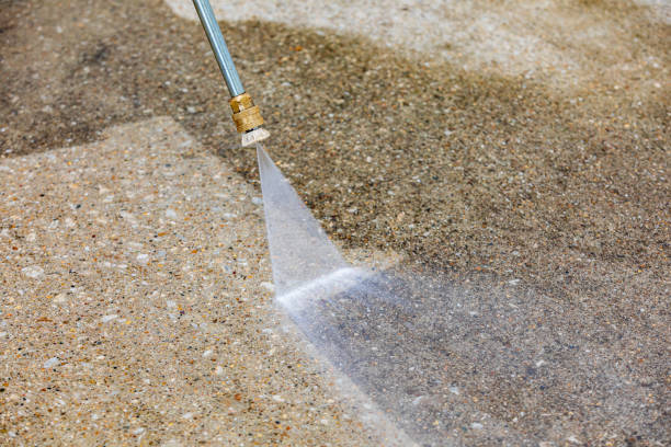 Best Patio and Deck Pressure Washing  in Mount Morris, MI