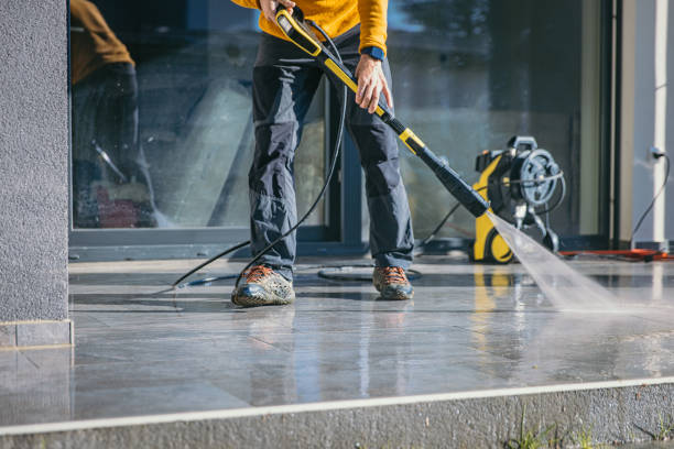 Best Driveway Pressure Washing  in Mount Morris, MI