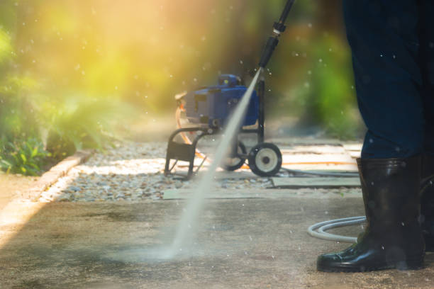 Best Animal Enclosure Cleaning  in Mount Morris, MI